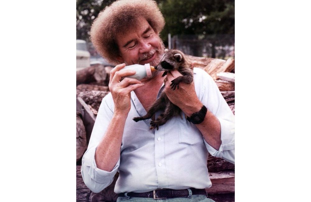 Vente terrain Rennes Ille-et-Vilaine